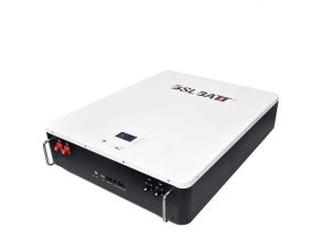 BSL 10.2kwh Wall Mount Battery 2 1