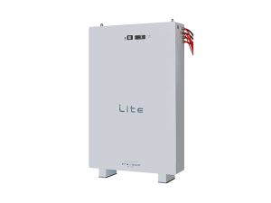 Freedom Won Lite Business 80 64 kwh Lithium Battery 2